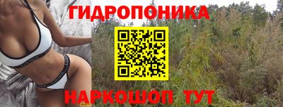 MESCALINE Новокубанск