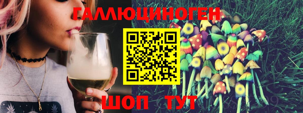 Псилоцибиновые грибы MAGIC MUSHROOMS  Вход с VPN  где купить наркоту  Урус-Мартан 